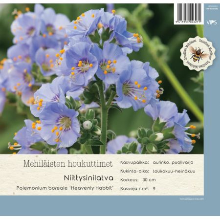 Polemonium boreale Heavenly Habbit