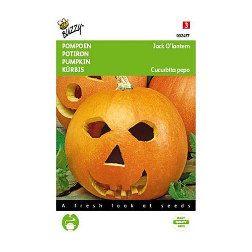 Pompoen jack olantern 2g