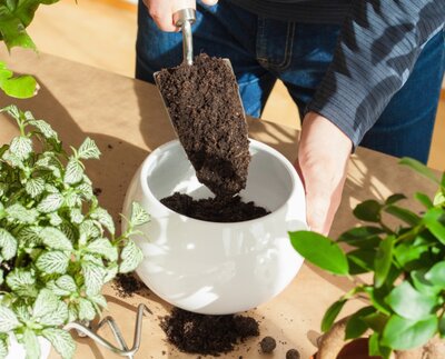 Grond en meststoffen - Blumenerde und Dünger