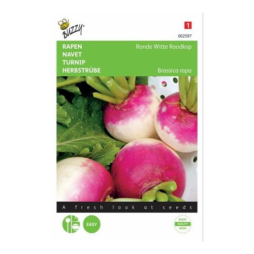 Raap rond wit roodkop 10g
