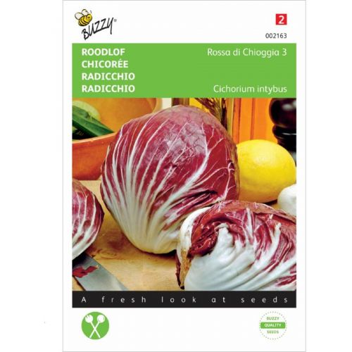 Radicchio rosso di chioggia 3g