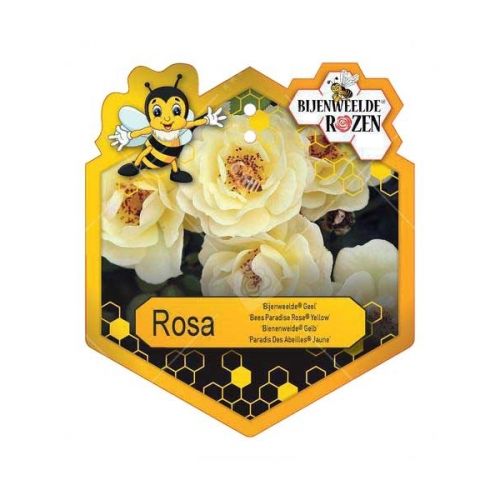Rosa 'Bijenweelde'® Yellow