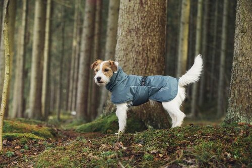 RukkaPets Stormy coat - Dark Agave - size 35 - afbeelding 2