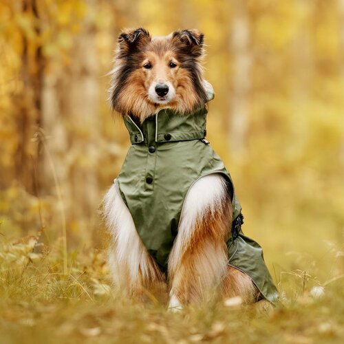 RukkaPets Streamy ECO Raincoat - Olive - size 25 - afbeelding 1