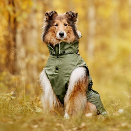 RukkaPets Streamy ECO Raincoat - Olive - size 30 - afbeelding 1