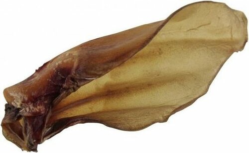 VOSKES Runderoren oorring actie 20st - afbeelding 2