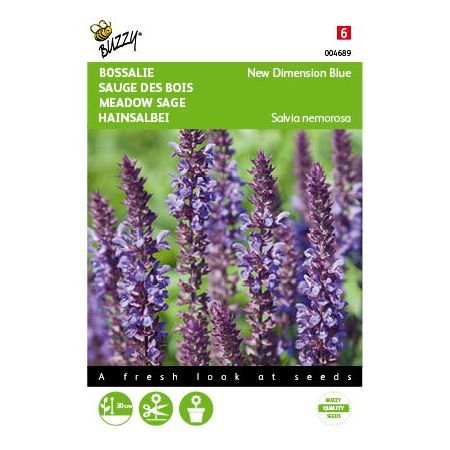 Salvia new dimension blue 25zdn