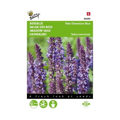 Salvia new dimension blue 25zdn