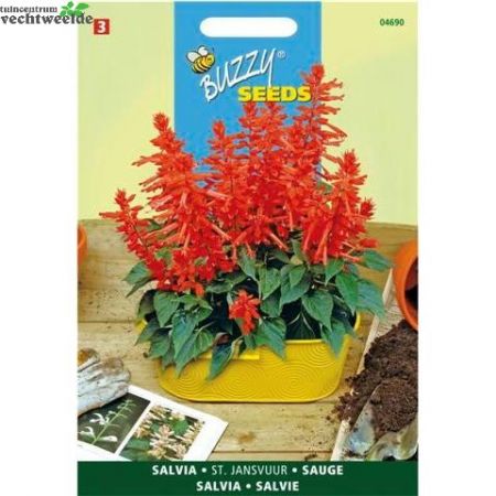 Salvia splendens st jansvuur 0.4g