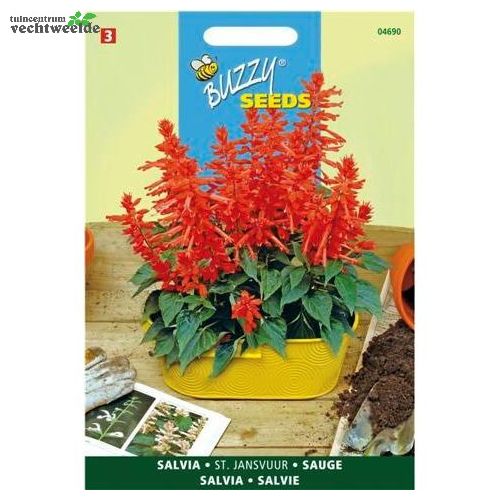 Salvia splendens st jansvuur 0.4g