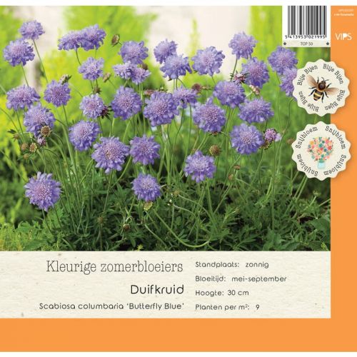 Scabiosa col. Butterfly Blue P9