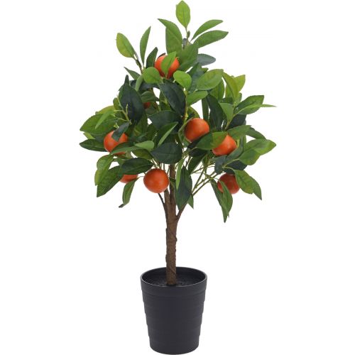 SINAASAPPELBOOM IN POT 70CM