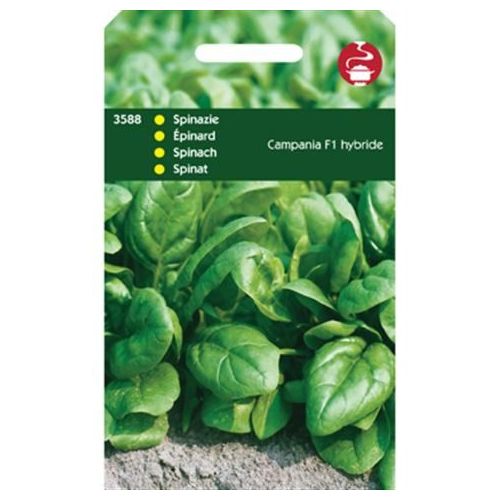 Spinazie campania f1 hybride 50g