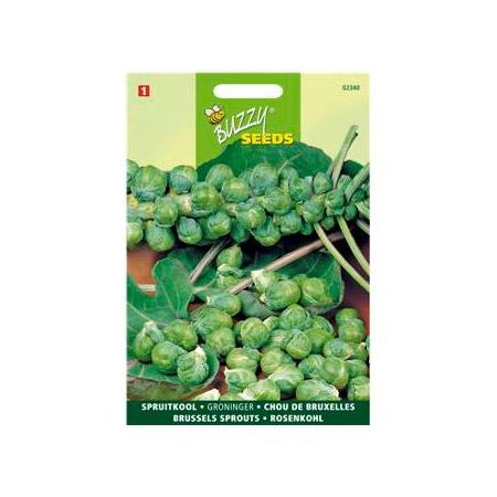 Spruitkool groninger 2g