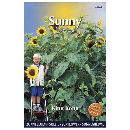 Sunny flowers king kong 4g