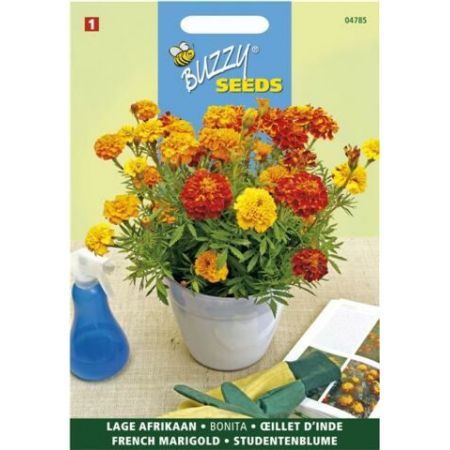 Tagetes pat. nana bonita d 1g