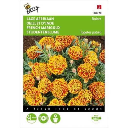 Tagetes patula nana bolero 1g