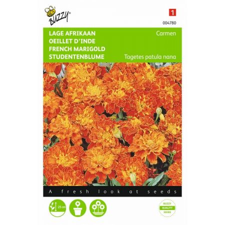 Tagetes patula nana carmen 1g