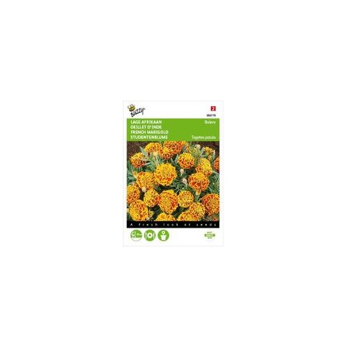 Tagetes patula nana naughty mari 1g