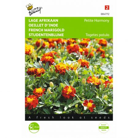 Tagetes patula nana petite harmo 1g