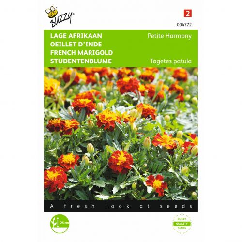 Tagetes patula nana petite harmo 1g