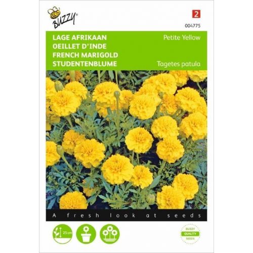 Tagetes patula nana yellow boy 1g