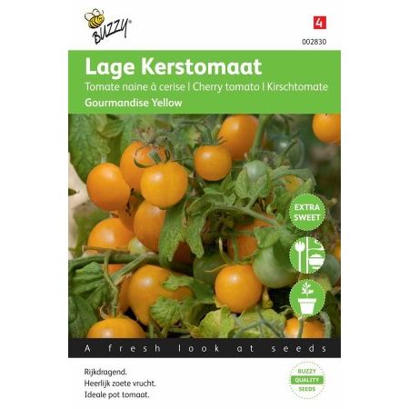 Tomaten gourmandise 10zdn