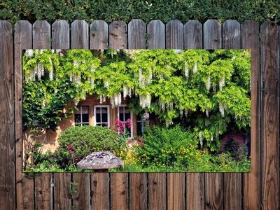 Tuinschilderijen - Gartenmalerei