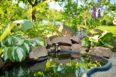 Vijvers voorgevormd - Teichbecken