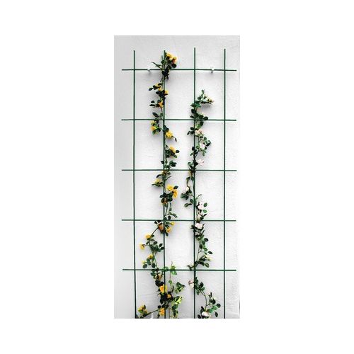 Wandklimrek Groen