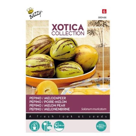 Xotica pepino 15zd