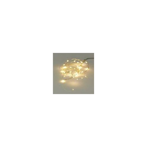 ZILVERDRAAD 20LED WW